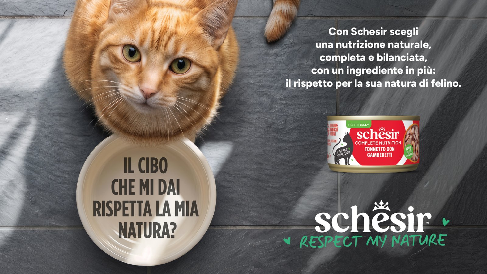 Schesir_Testata Campagna